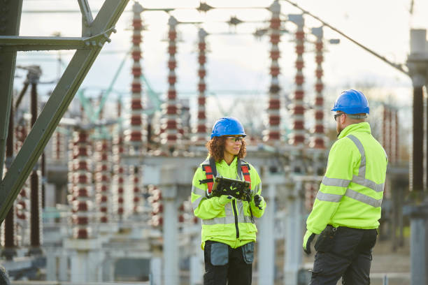Best Affordable Electrician  in Long Prairie, MN