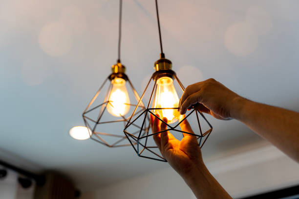 Best Electric Panel Repair  in Long Prairie, MN