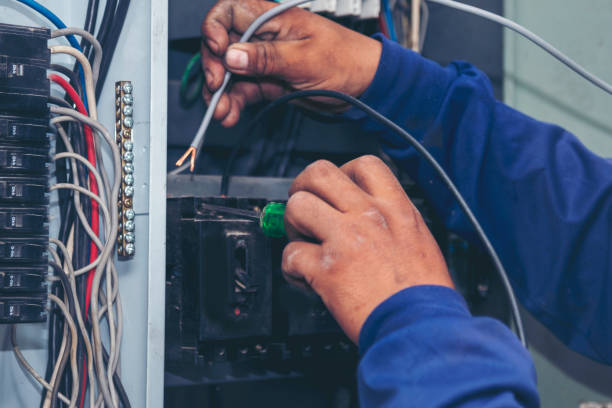 Best Electrical Rewiring Services  in Long Prairie, MN