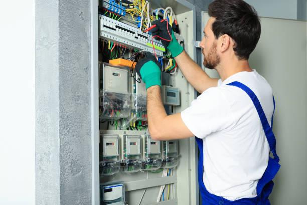 Best Electrical Upgrades for Homes  in Long Prairie, MN